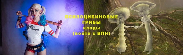 apvp Балабаново