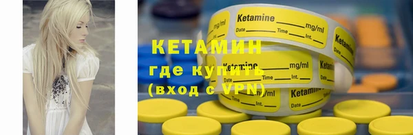 прущие грибы Балахна