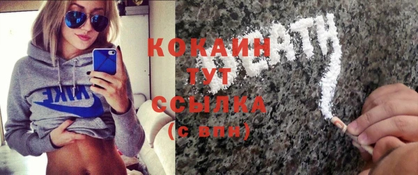 прущие грибы Балахна