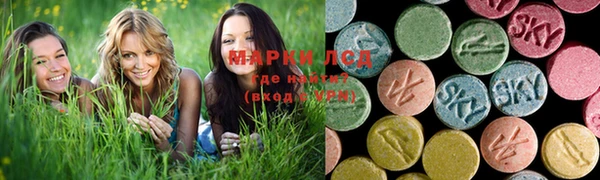 прущие грибы Балахна