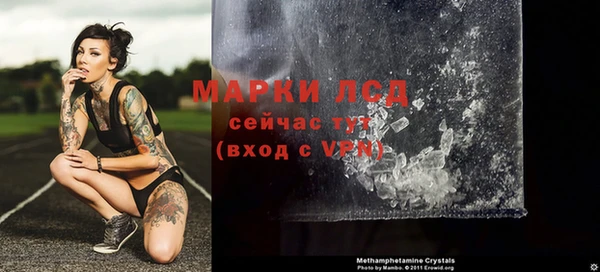 прущие грибы Балахна
