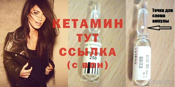 прущие грибы Балахна