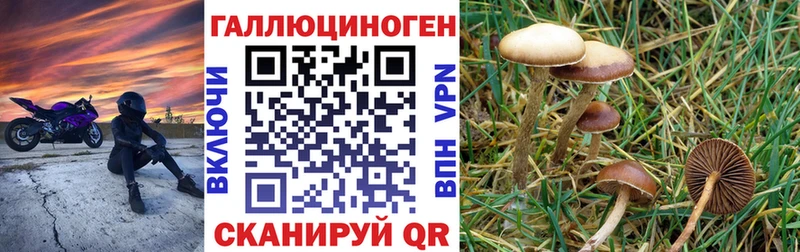 kraken ССЫЛКА  Ленинск-Кузнецкий  Псилоцибиновые грибы мицелий 